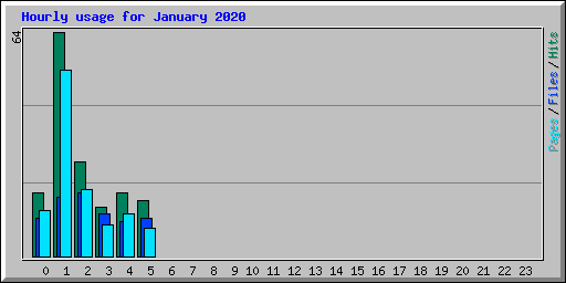 Hourly usage for January 2020