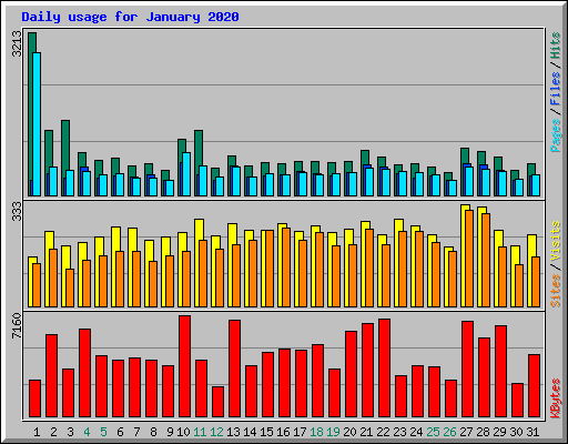 Daily usage for January 2020