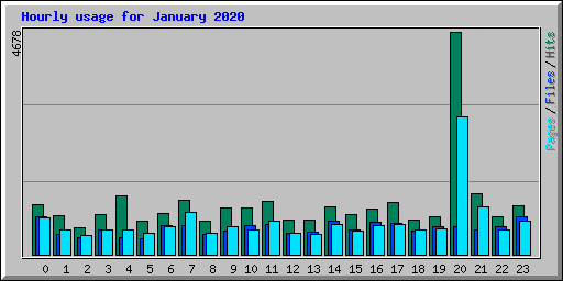 Hourly usage for January 2020