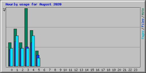 Hourly usage for August 2020