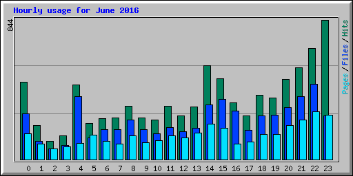 Hourly usage for June 2016