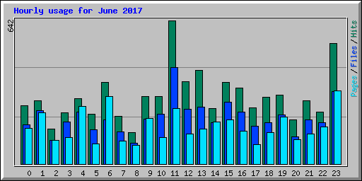 Hourly usage for June 2017