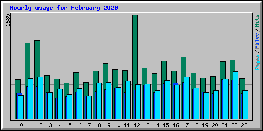 Hourly usage for February 2020