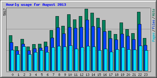 Hourly usage for August 2013