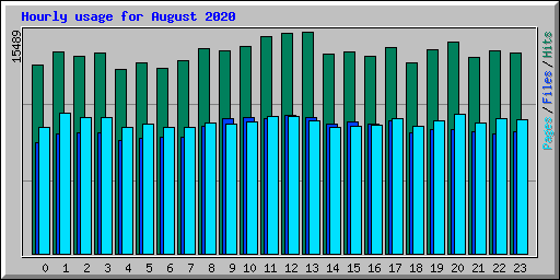 Hourly usage for August 2020