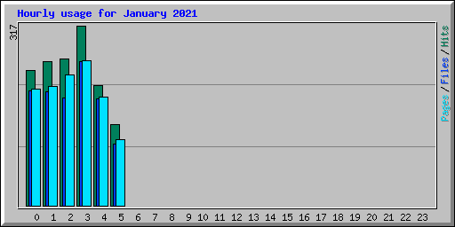 Hourly usage for January 2021