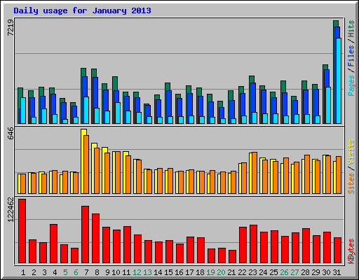 Daily usage for January 2013