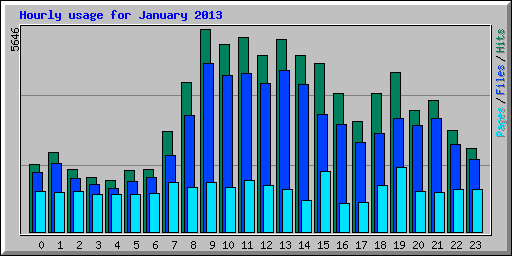 Hourly usage for January 2013