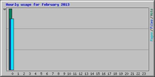 Hourly usage for February 2013