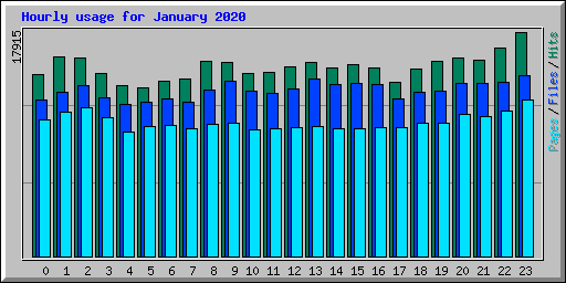 Hourly usage for January 2020