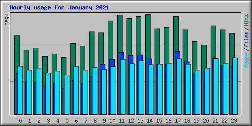 Hourly usage for January 2021