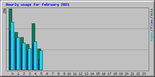 Hourly usage for February 2021