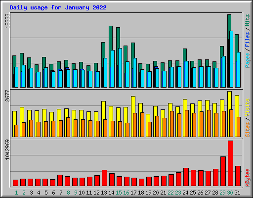 Daily usage for January 2022