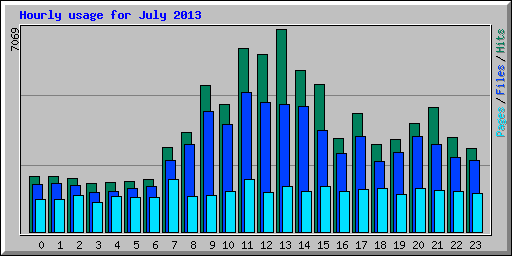 Hourly usage for July 2013