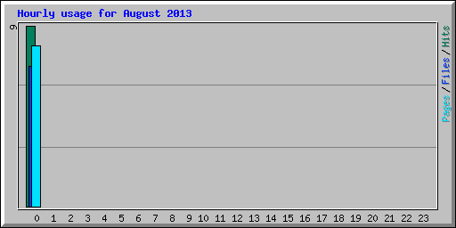 Hourly usage for August 2013