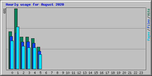 Hourly usage for August 2020