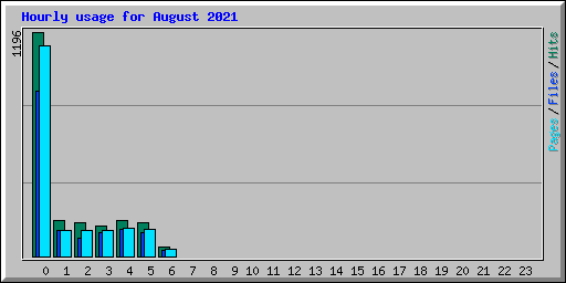 Hourly usage for August 2021