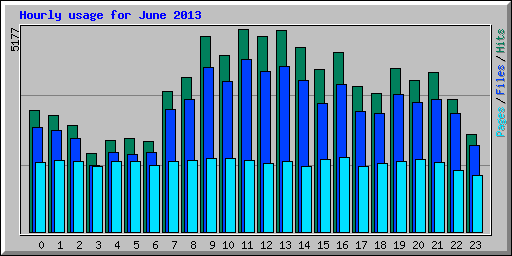 Hourly usage for June 2013