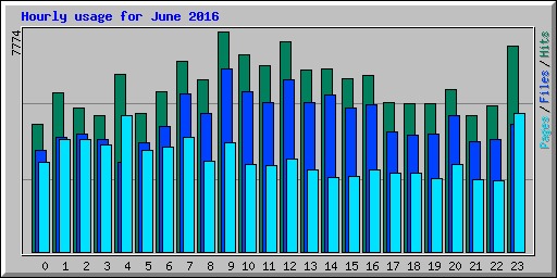 Hourly usage for June 2016