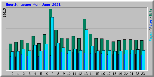 Hourly usage for June 2021