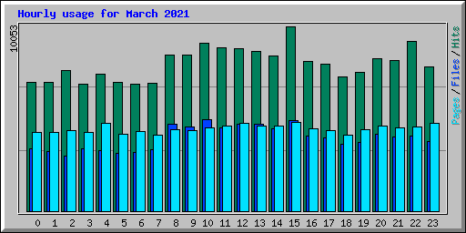 Hourly usage for March 2021