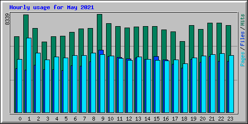 Hourly usage for May 2021