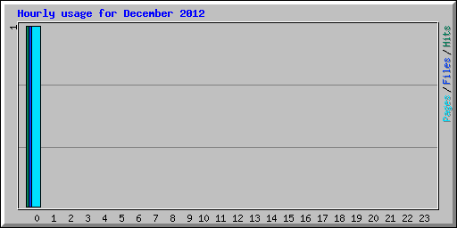 Hourly usage for December 2012