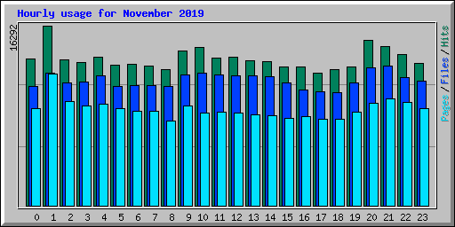 Hourly usage for November 2019