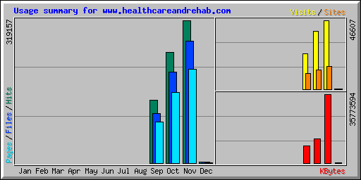 Usage summary for www.healthcareandrehab.com