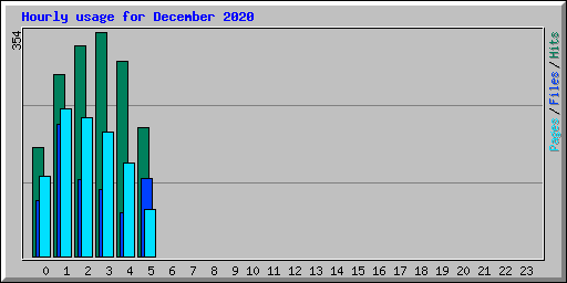 Hourly usage for December 2020