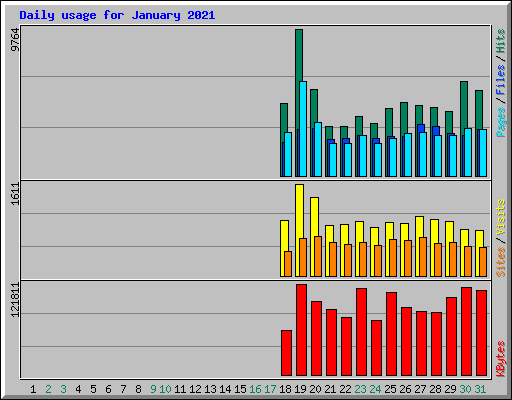 Daily usage for January 2021