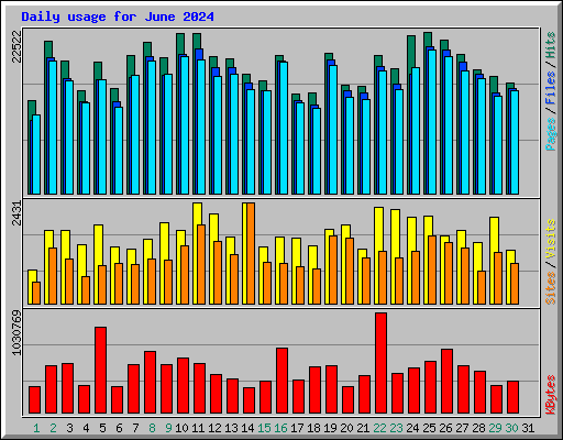 Daily usage for June 2024