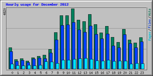 Hourly usage for December 2012