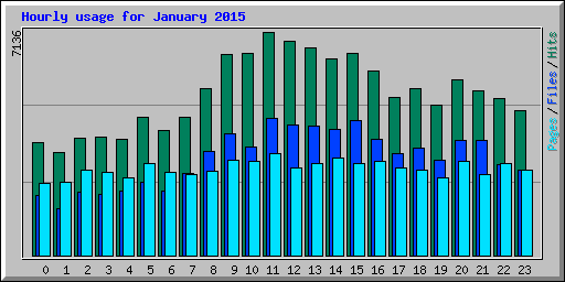 Hourly usage for January 2015