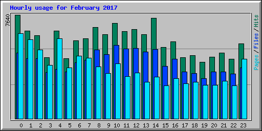 Hourly usage for February 2017