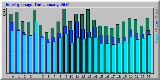 Hourly usage for January 2019