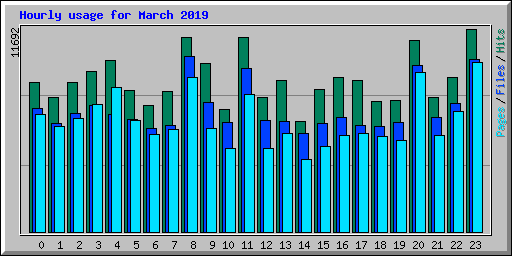 Hourly usage for March 2019