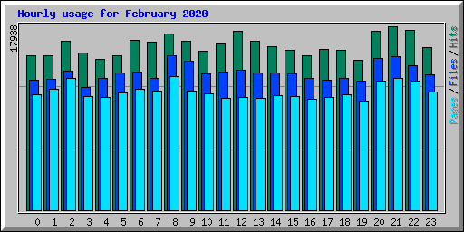 Hourly usage for February 2020