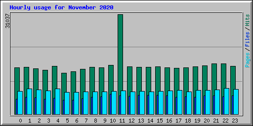 Hourly usage for November 2020