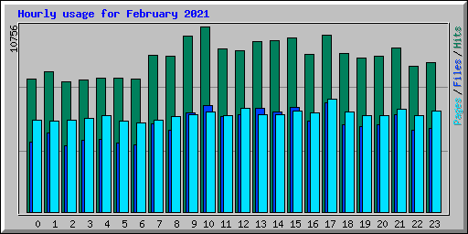 Hourly usage for February 2021