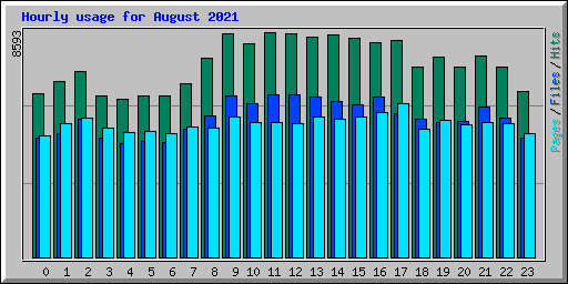 Hourly usage for August 2021