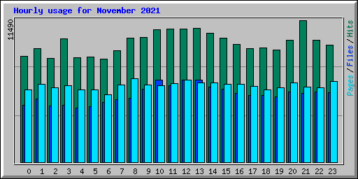 Hourly usage for November 2021