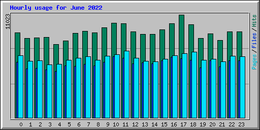 Hourly usage for June 2022