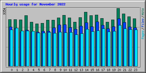 Hourly usage for November 2022