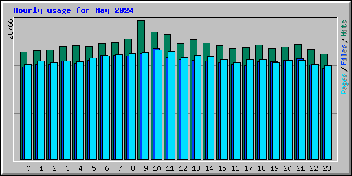 Hourly usage for May 2024