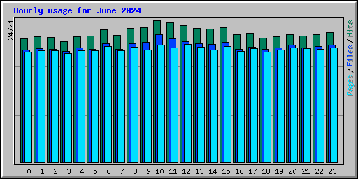 Hourly usage for June 2024