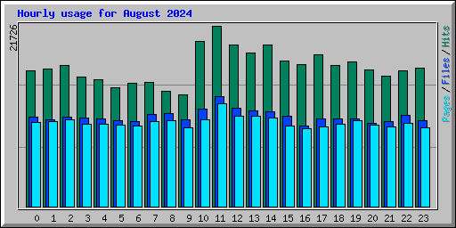 Hourly usage for August 2024