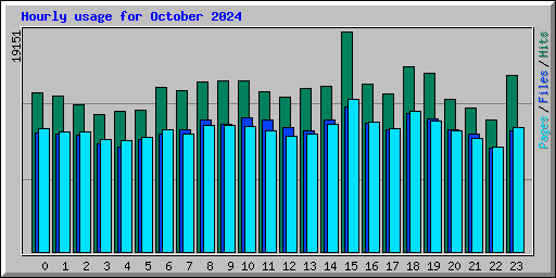 Hourly usage for October 2024