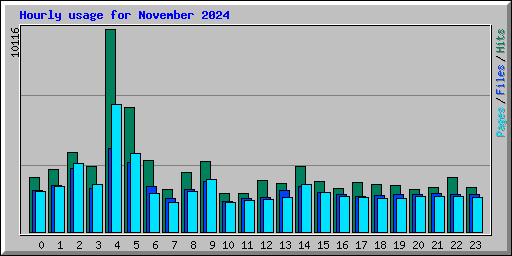 Hourly usage for November 2024