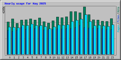 Hourly usage for May 2025
